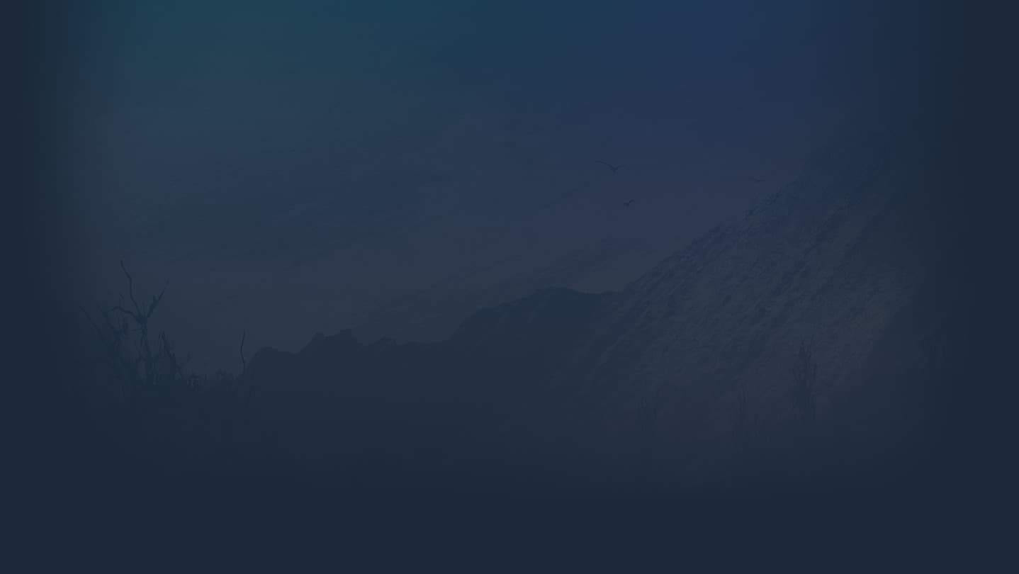 Red Dead Redemption 2 banner