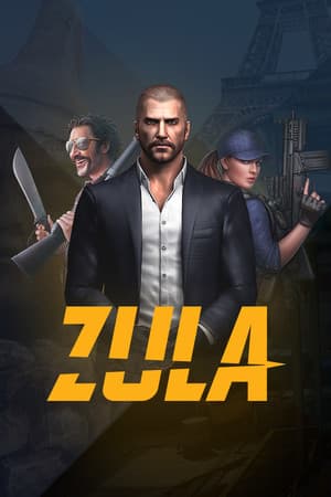 Steam App 714210 cover